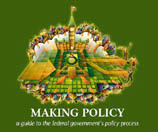 making policy: a guide to the federal government's policy process, 2009